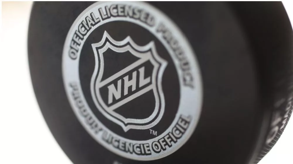 Official game puck from NHL^ National hockey league^ USA
