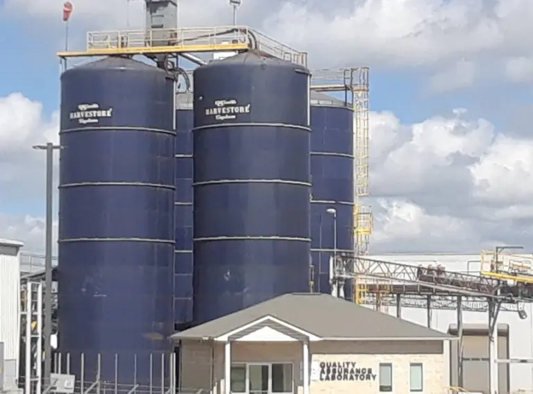 Paxton Sues Animal Rendering Plant in Bastrop