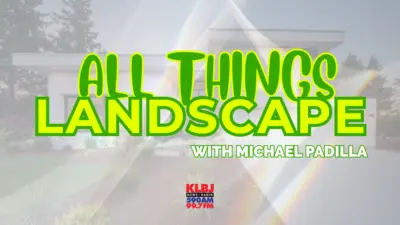 all things landscape header V2