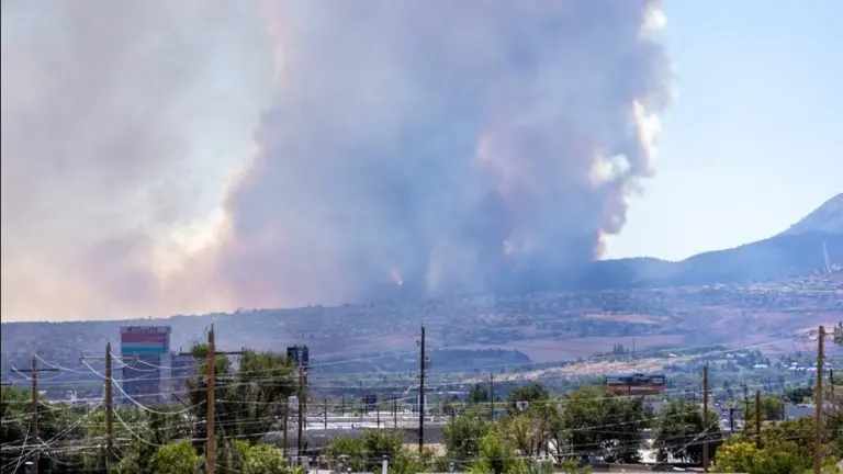 Emergency executive order issued as firefighters battle fast-moving Hawk fire outside Reno, Nevada