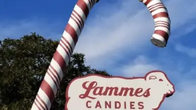 lammes