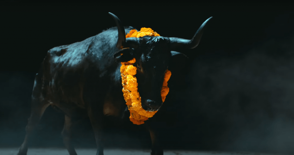 black bull from FOALS music video