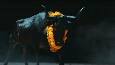 black bull from FOALS music video