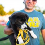 KGSR: Puppy at Blues on the Green