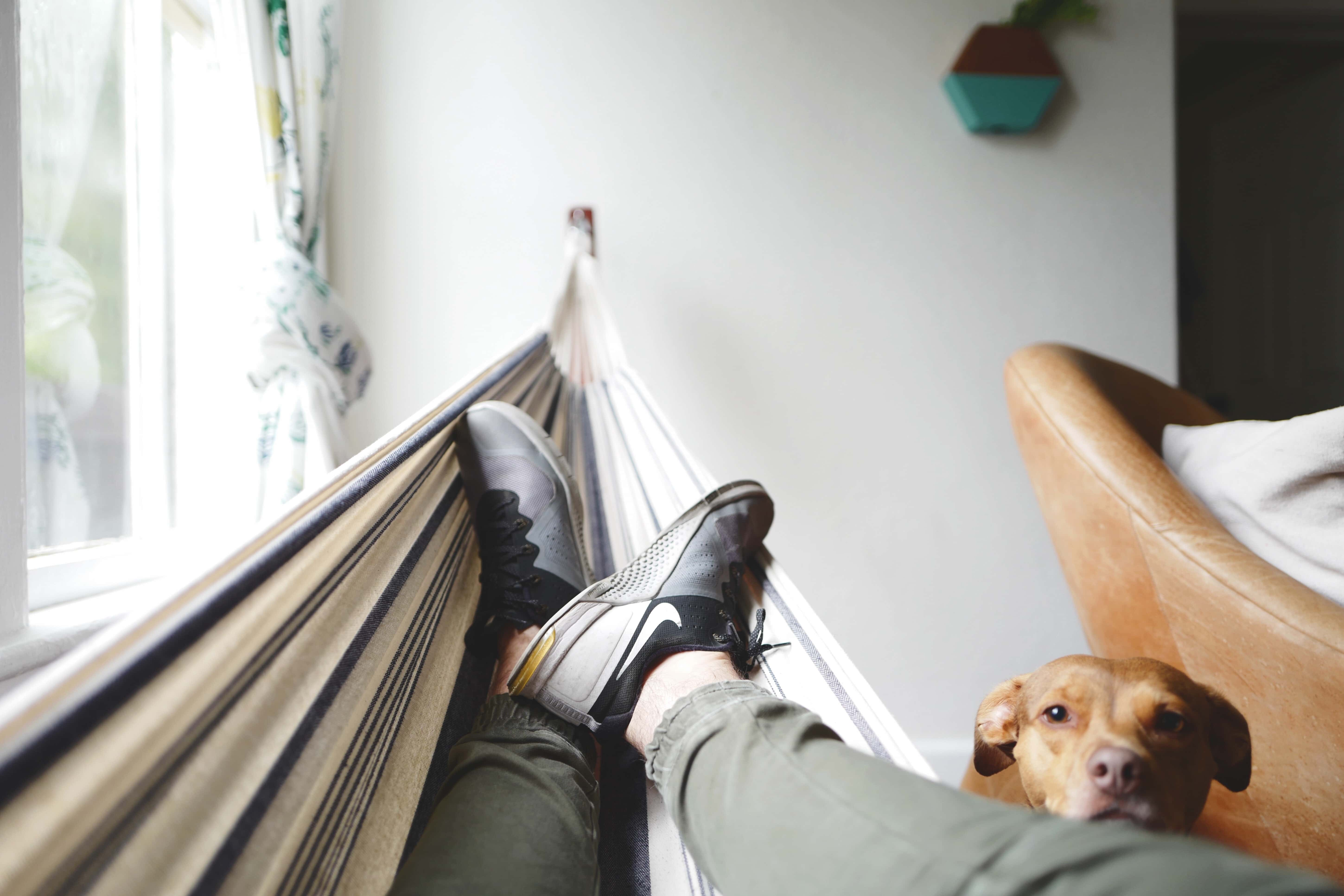 person laying down and dog sitting