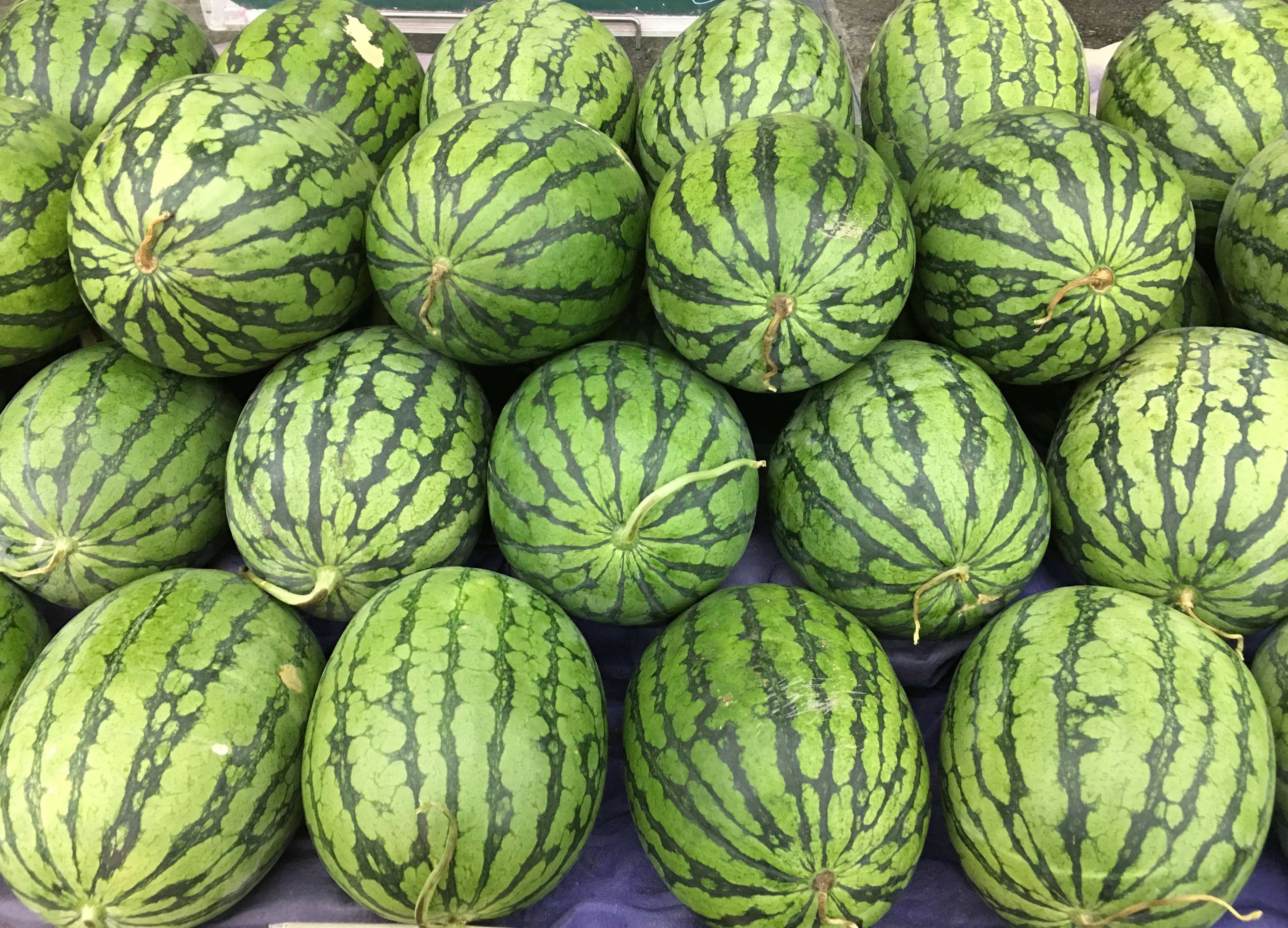 Watermelons