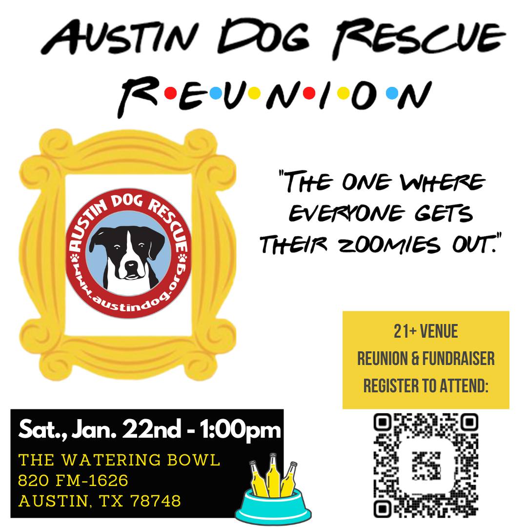 Austin Dog Rescue Reunion at the Watering Bowl