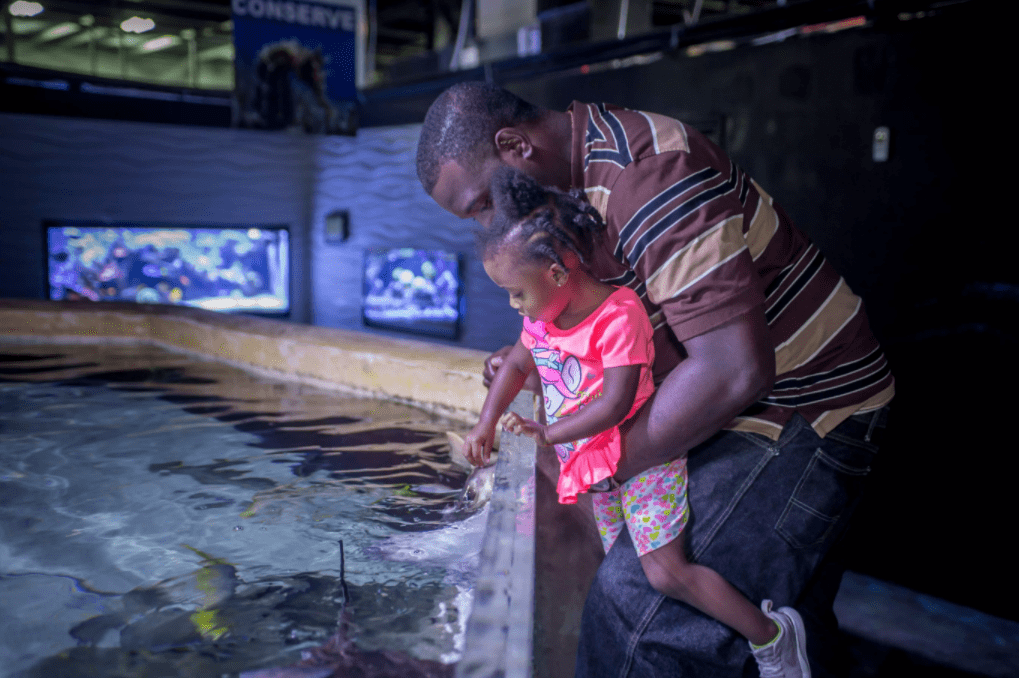 Man and child at aquarium 