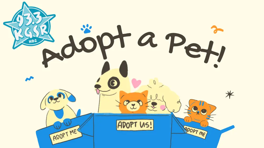 Adoption Guide header