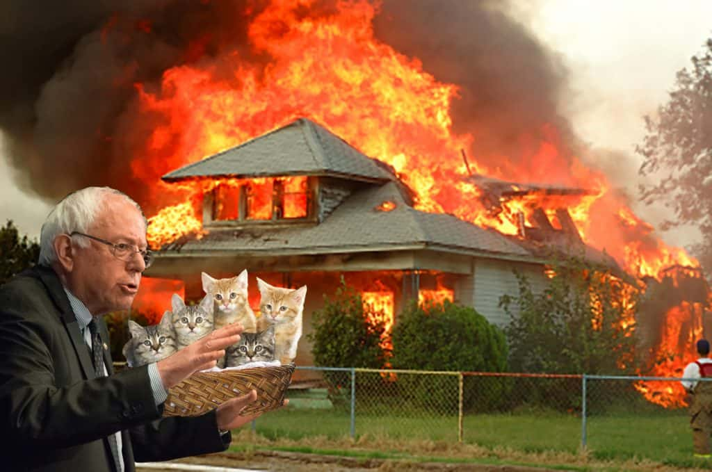 photoshop of Bernie Sanders saving kittens from a burning house