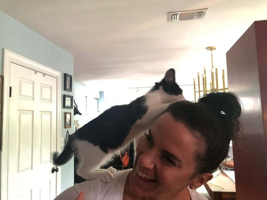 Deb and Her New Cat George in the house as he climb on top of her head.