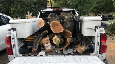 A truck filled with chopped up tree branches.