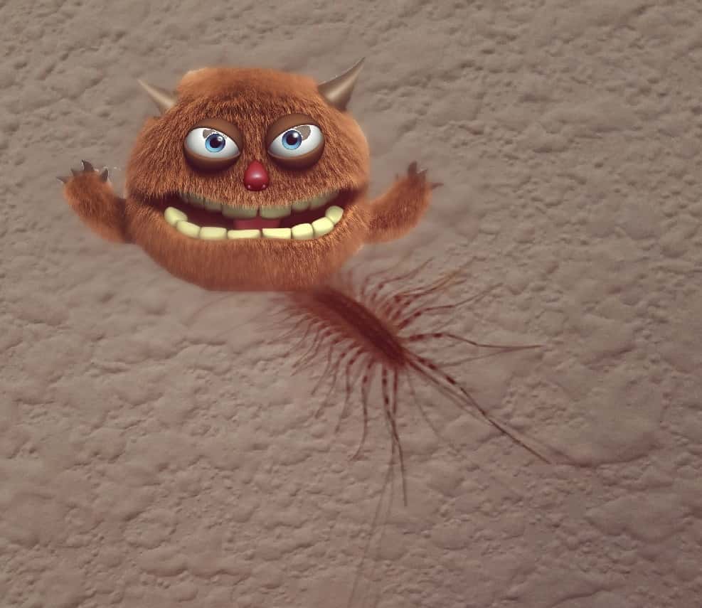 Photoshop of a bug Deb found in her house.