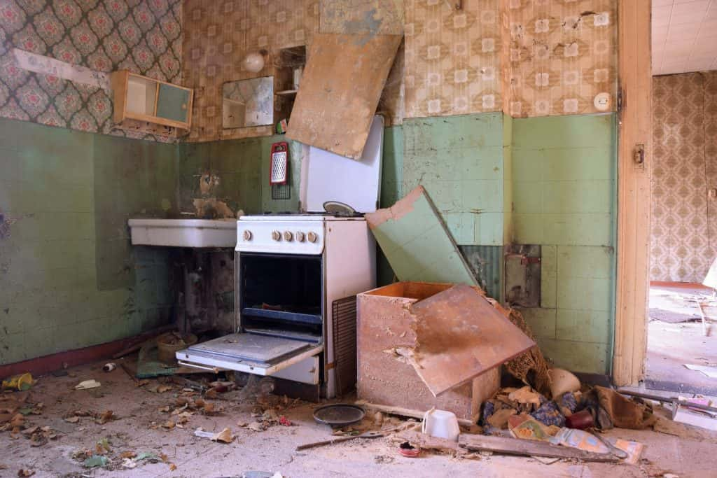 Kitchen demolition.