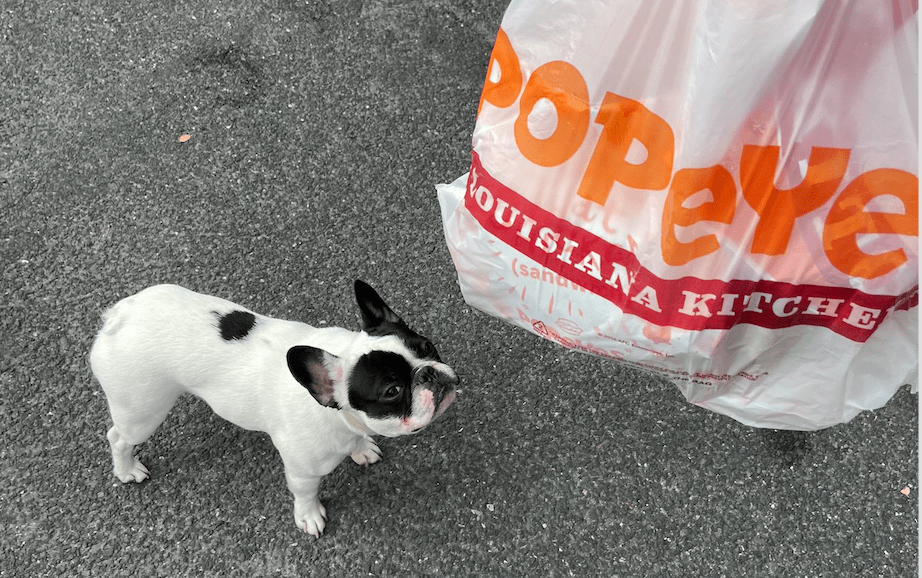 alfie looking at popeyes bag