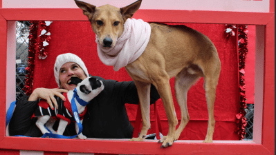 Deb at the kissing booth for Sweet Barks.