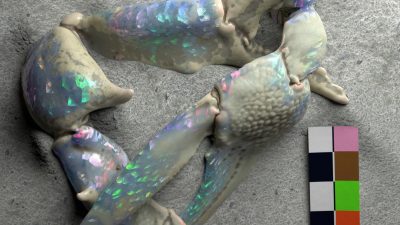 Flume - "Let You Know (feat. London Grammar)"