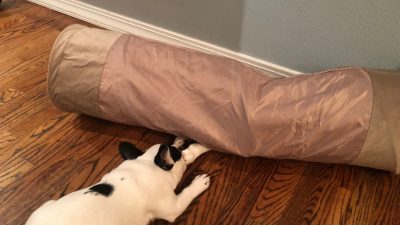 Alfie and George playing with their new toy.