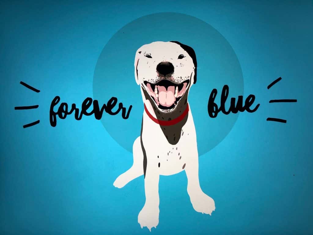 Forever Blue painting.