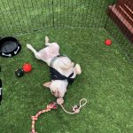 Deb At SXSW Week One : Deb At SXSW Week One 