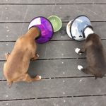 Eating Is Hard, You Guys