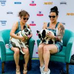 Deb And Alfie At Pup Fest : Deb and Conor and Alfie and Conor's owner at Pup Fest. 