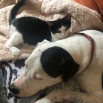 Memories Of George: Close up of Deb