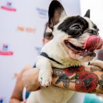Deb And Alfie At Pup Fest : Alfie licking at Pup Fest. 