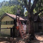 What's Going Down In Deb's Neighborhood?: A ladder in front of Deb's house with a fallen tree in front with men working. 