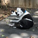 Memories Of George: Deb