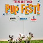 Deb And Alfie At Pup Fest : Three dogs at pup fest. 