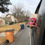 Trixie The Wonder Dog Got Doggles: Trixie The Wonder Dog Got Doggles