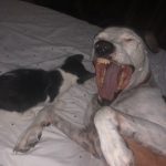 Memories Of George: Deb