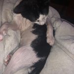 Memories Of George: Deb