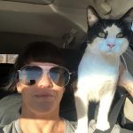 George O’Keefe's First Trip To San Antonio: Deb's cat George in the car with Deb on the way to San Antonio. 