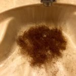 Anyone Care For Some Beard In A Sink?
