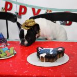 Alfie's 1st Birthday! : Alfie's 1st birthday! 