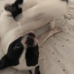 Memories Of George: Deb