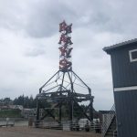 Deb's Washington Vacation : Tourist pictures from Deb's vacation to Seattle of Rays. 