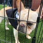 Deb At SXSW Week One : Deb At SXSW Week One 