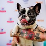 Deb And Alfie At Pup Fest : Alfie smiling at Pup fest. 