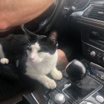 Deb's Trip Down To San Antonio: Deb's Trip Down To San Antonio