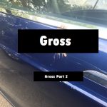 That's Just Gross : Something on the side of Jason's car. 