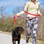 Avocado The Dog: Avocado Dog