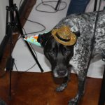 Alfie's 1st Birthday! : Alfie's 1st birthday! 