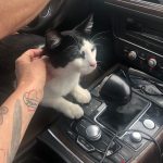 Deb's Trip Down To San Antonio: Deb's Trip Down To San Antonio