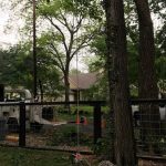 Wait, Where's That Rope Going?