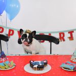 Alfie's 1st Birthday! : Alfie's 1st birthday! 