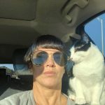 George O’Keefe's First Trip To San Antonio: Deb's cat George in the car with Deb on the way to San Antonio. 