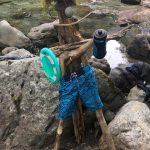 Deb's Washington Vacation : Camping during Deb's Washington vacation. 